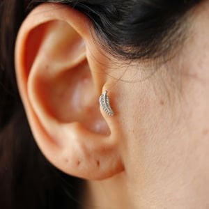 Tüy Tragus