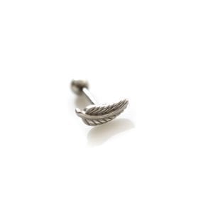 Tüy Tragus