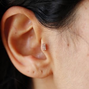 Baget Tragus