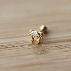 Yengeç Tragus