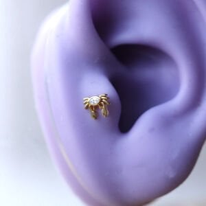 Yengeç Tragus