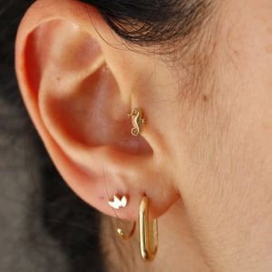 Denizatı Tragus