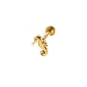 Denizatı Tragus
