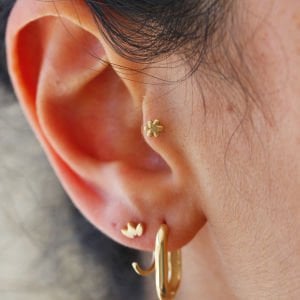 Çiçek Motif Tragus
