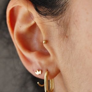 Top Tragus