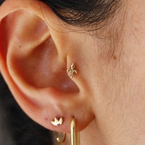 Zambak Motif Tragus
