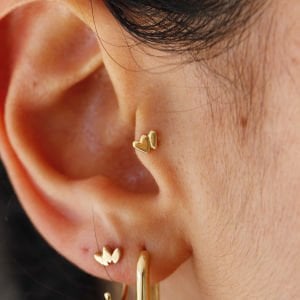 Çift Kalp Tragus