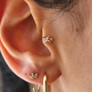 Kutup Yıldızı Tragus