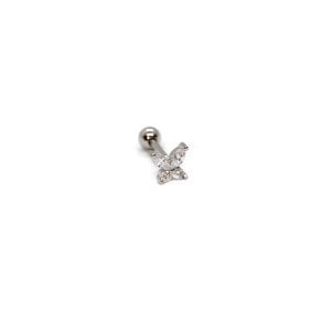Dört Taş Tragus