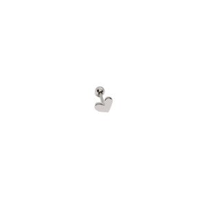Kalp Tragus