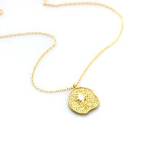 Plaka Kutup Yıldızı Kolye