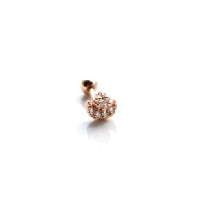 Hilal Yıldız Tragus