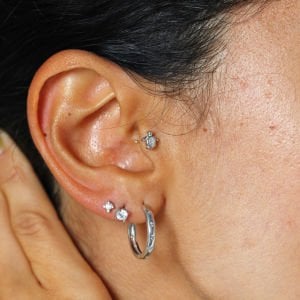 Kaplumbağa Tragus