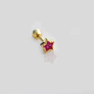 Fuşya Yıldız Tragus