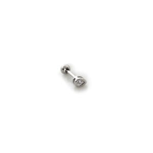 Damla Tragus