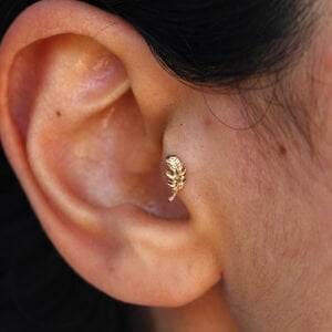 Tüy Tragus