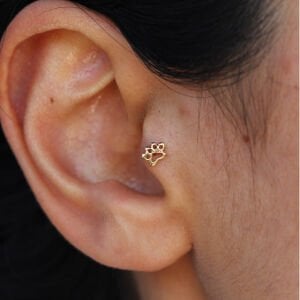 Pati Tragus