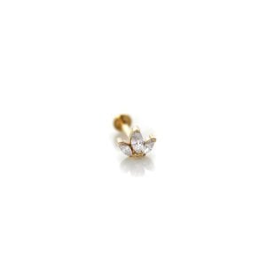 Markiz Üçtaş Tragus
