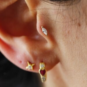 Markiz Tragus