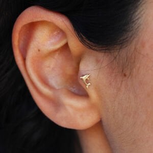 Yunus Tragus