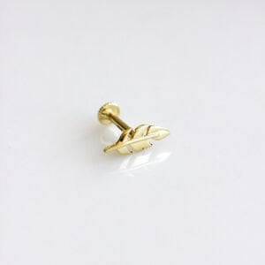 Leaf Tragus