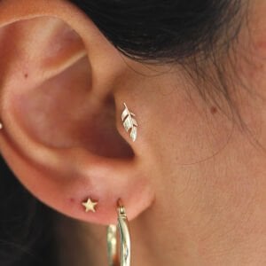 Leaf Tragus